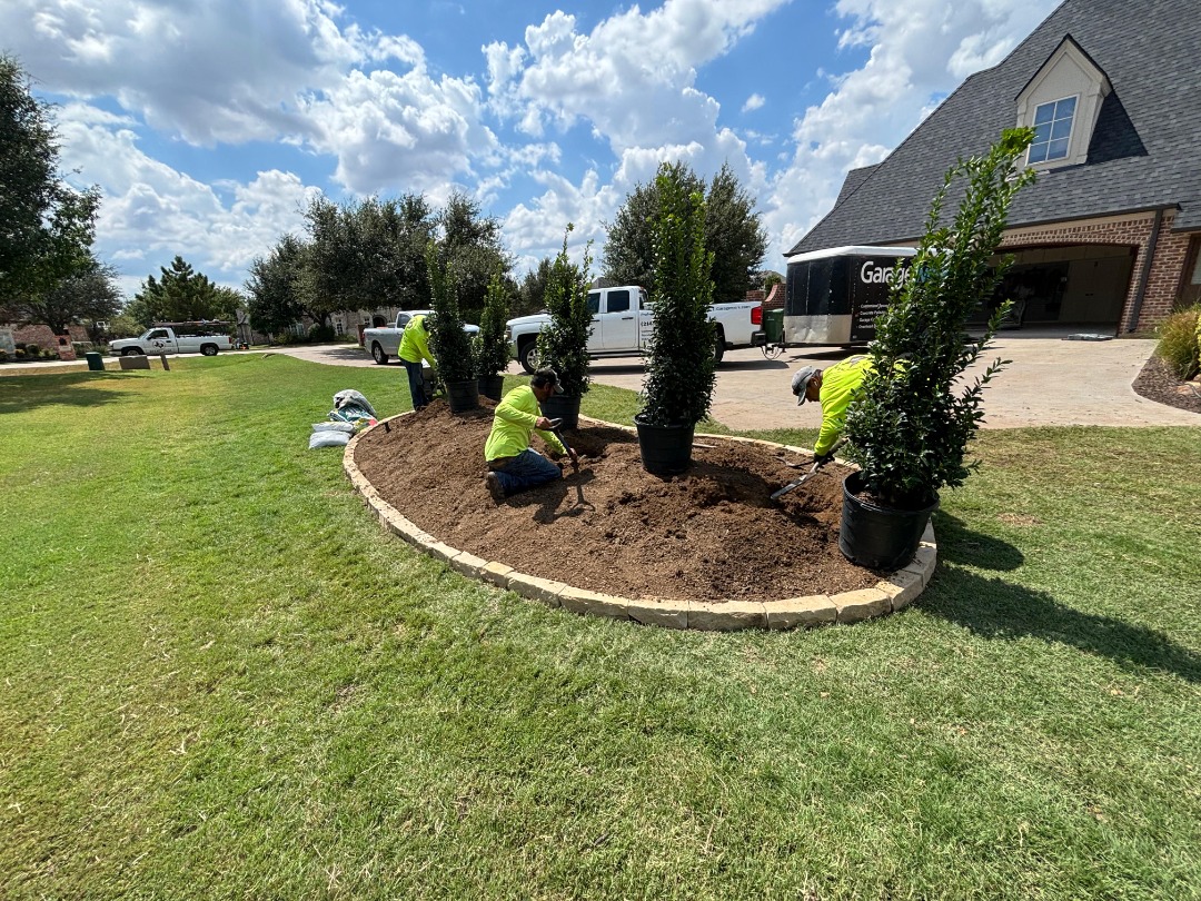 Landscaping crew planting trees in a mulched bed with a stone border in a large, grassy front yard of a suburban home.