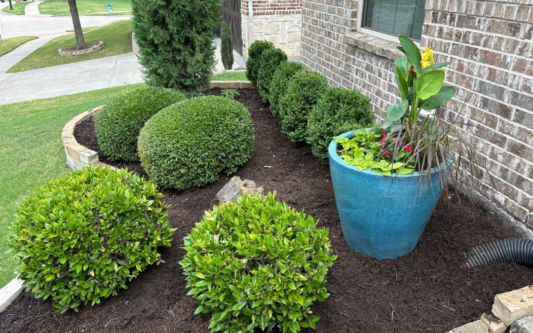 Amazingly Simple Landscape Designs That Are Perfect For Spring