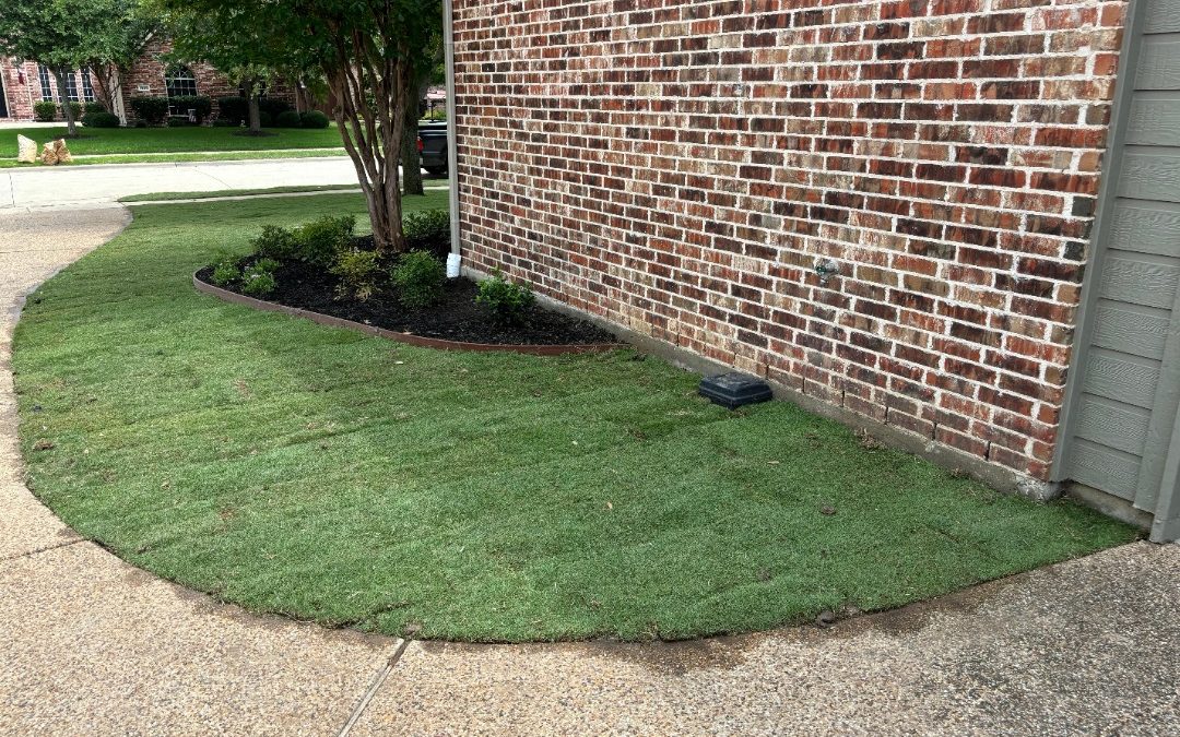 3 Lawn Maintenance Mistakes That Are Ruining Your Grass