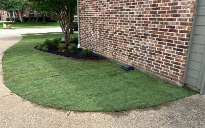 3 Lawn Maintenance Mistakes That Are Ruining Your Grass