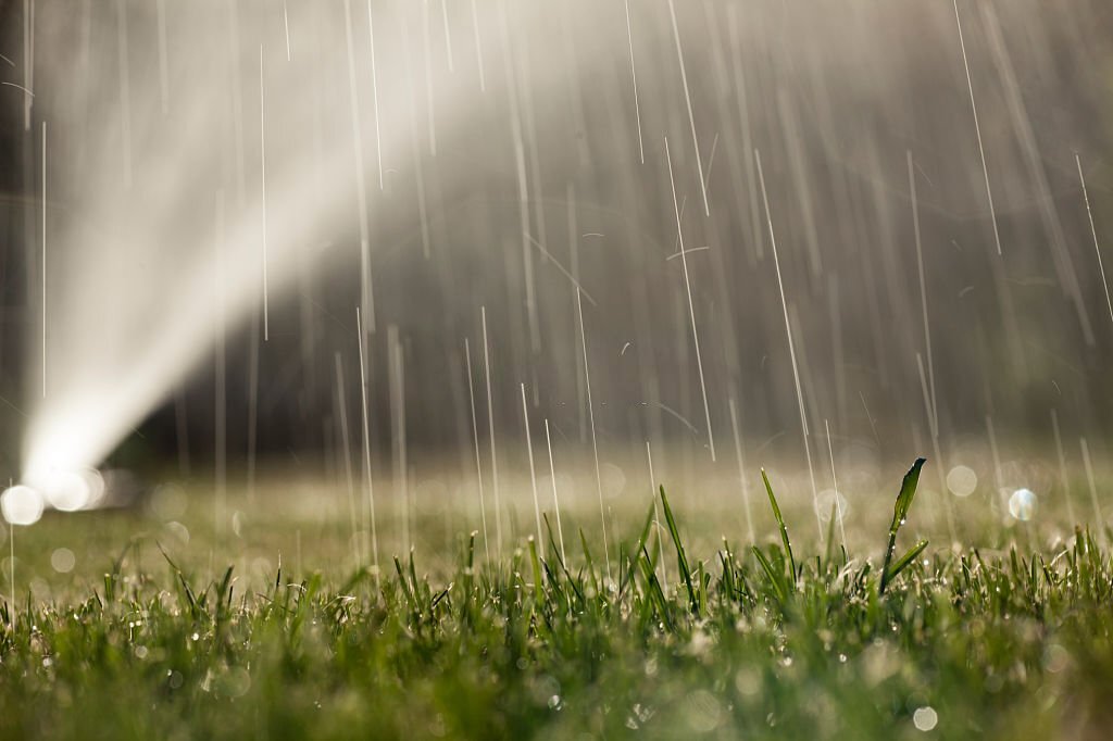 Lawn sprinkler sprays water across fresh green grass with visible water droplets in soft light during early morning irrigation.
